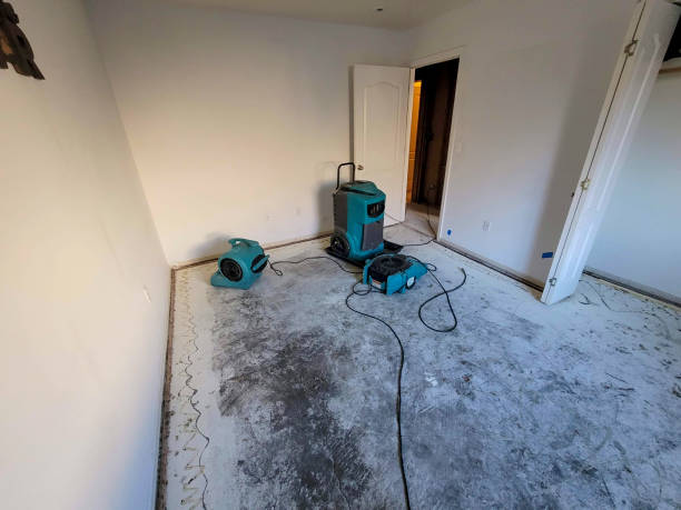 Best 24-hour water damage restoration  in Canton, NC