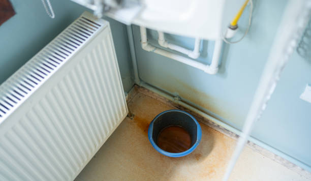 Canton, NC Water damage restoration Pros