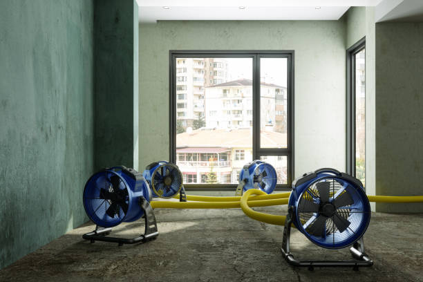 Best Carpet water damage restoration  in Canton, NC